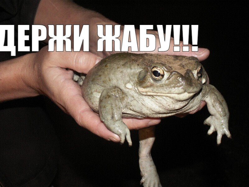 0105nHftME9naXMU8ALclXMlMn6mfiOkU5KYgqE42QnCVIJraKaHdQI5aJitrccIFgEudlwDP7GBc6UIAVGJZmzZ1S0EoAK8GGO7rz7vA3nI0oq6f1SgCnHcZsWZNFzl.jpeg