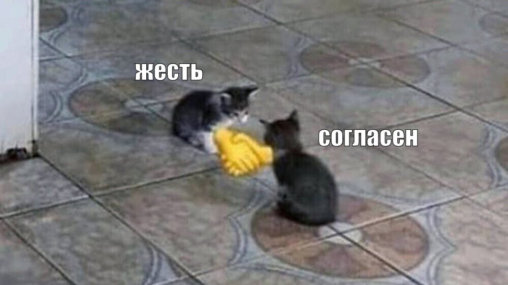 2UZDwvG0Oo3thdGZX9HZKYh37CSfX3uVnvqTbL0IcC2kIQ5ie2Llinrk1qDMdftM0FQ7qM9HvRqWYfwlU3AfD6y1FPIOaOeNp58s7Hu5ZDTZotJoY05cKevmZQEObctK.jpeg