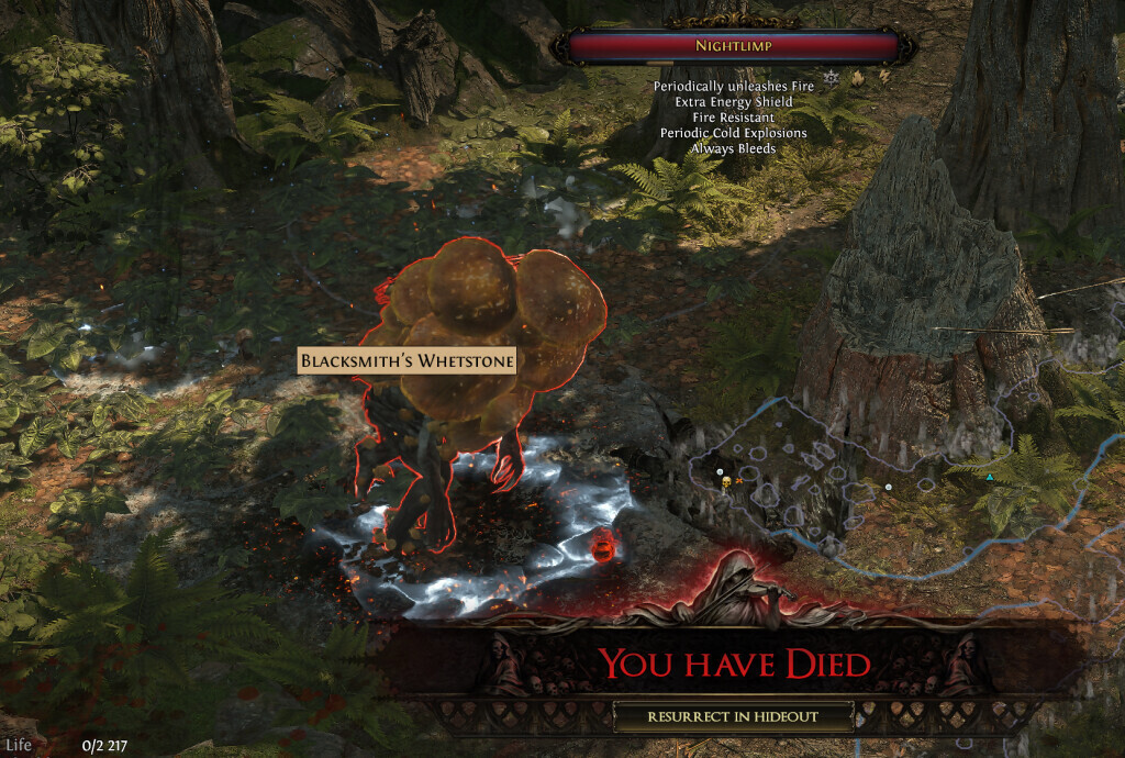 Создать мем «divinity original sin 2 definitive edition, дивинити ...